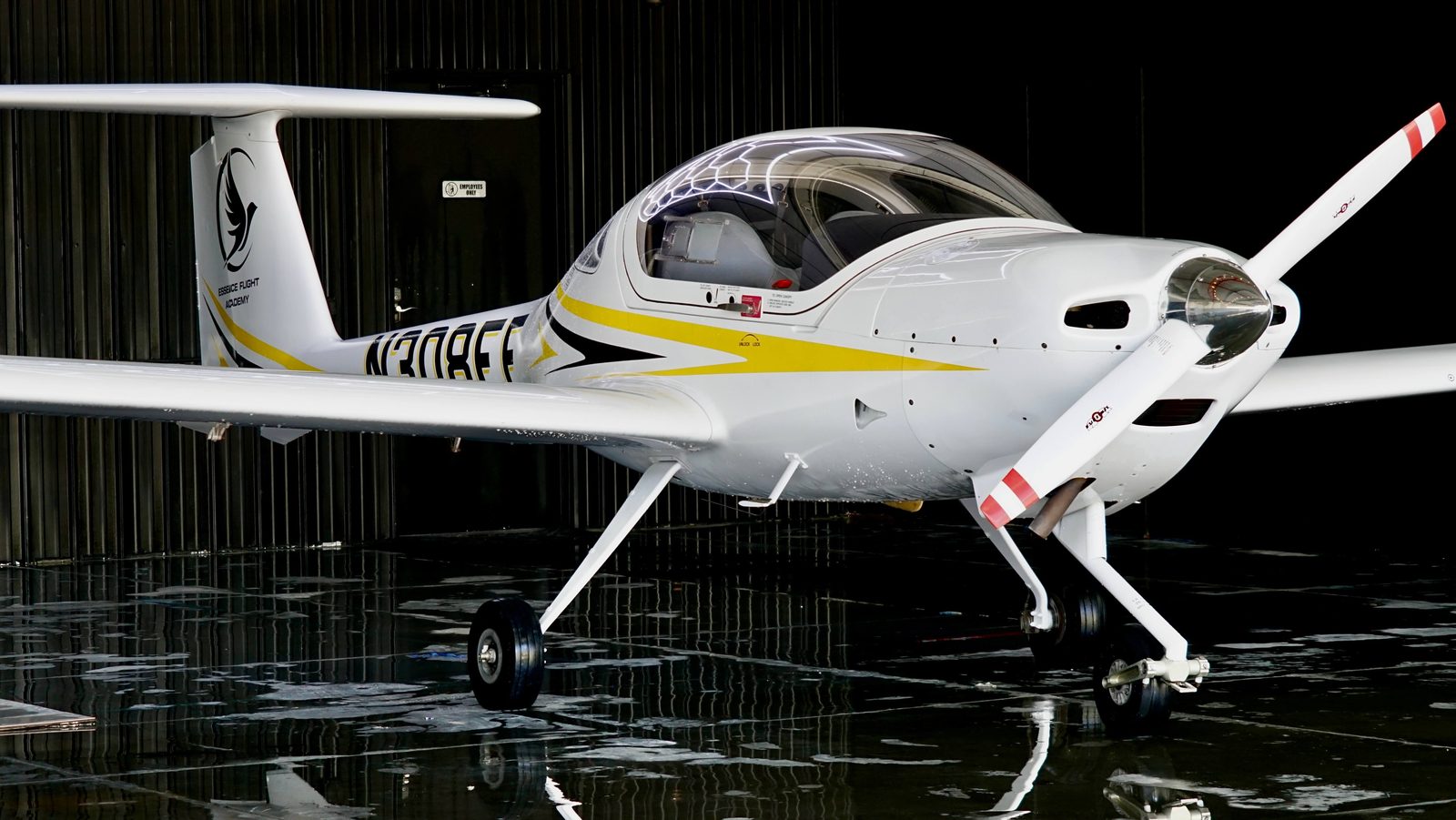 Side profile of a Diamond DA20 two-seat composite trainer