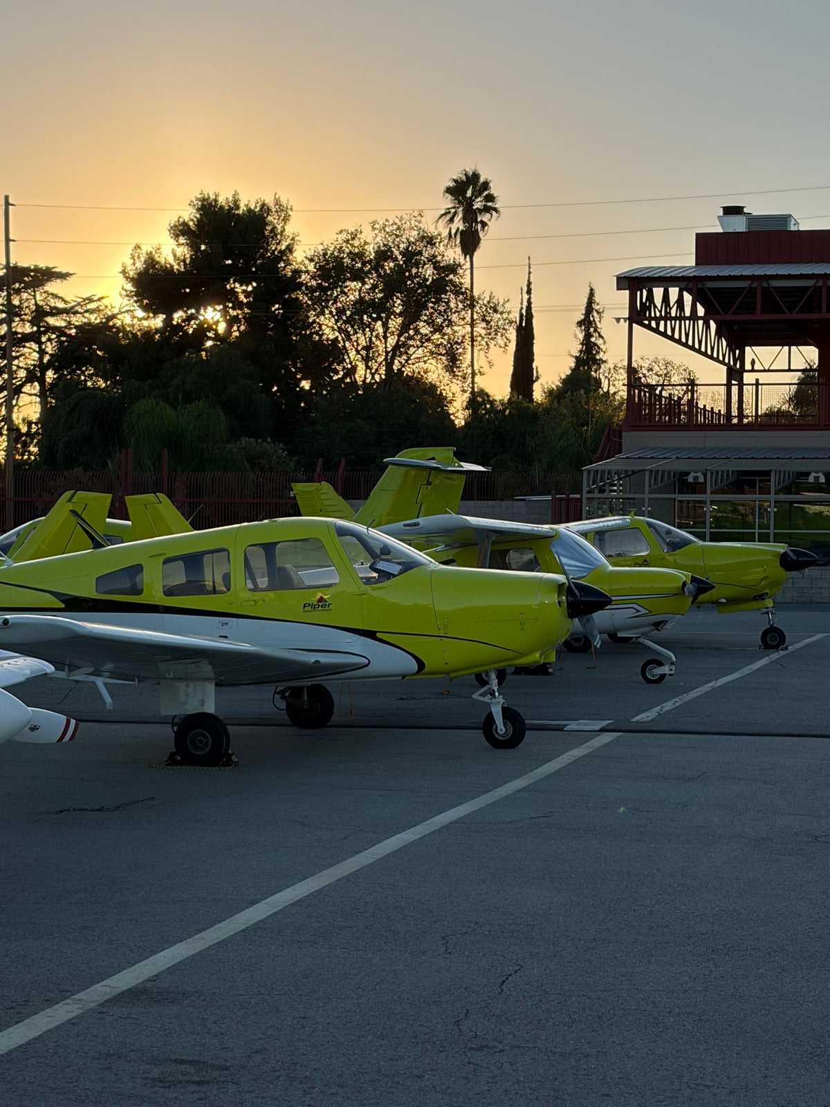 Yellow trainers in a row on the Van Nuys ramp as the sun sets behind tall trees and palms
